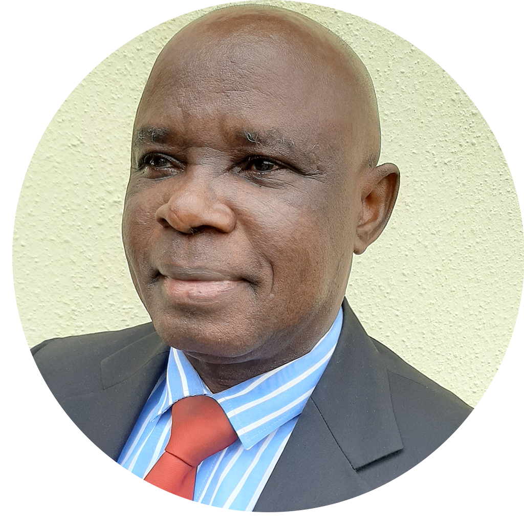 Professor of Public Sector Management and Governance, Department of Public Administration, University of Abuja