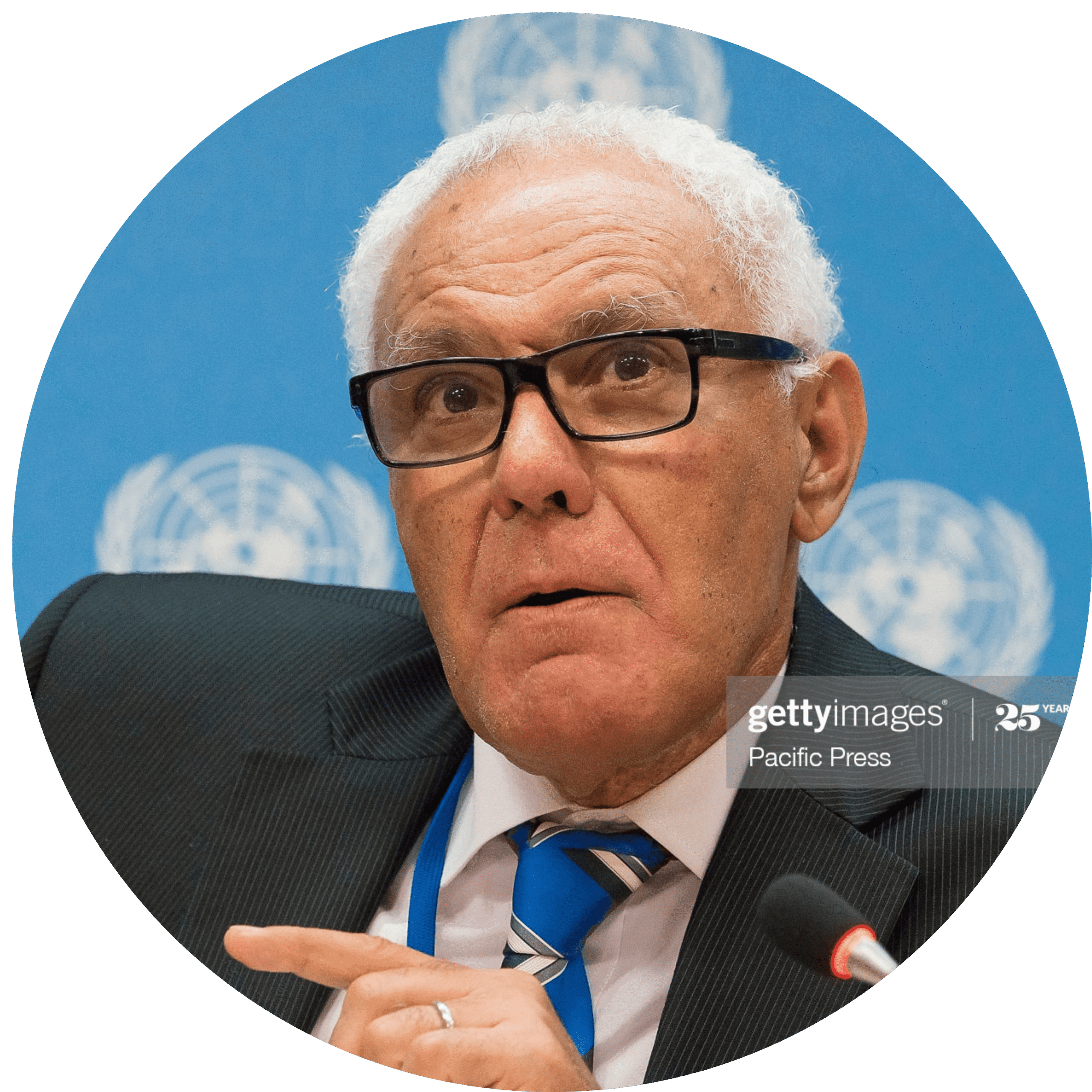 Former Chairman of the African Country Review Mechanism (APRM) Panel, international expert in the field of energy